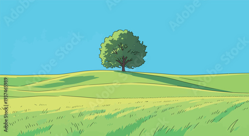 A tree grows on a grassy hill surrounded by open land under a clear blue sky during the day. The scene shows a simple landscape.