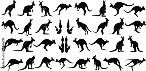 Collection of kangaroo silhouettes in various poses and movements with paw prints included