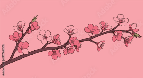 A branch with pink cherry blossoms stretches across a soft pink background, showcasing the beauty of spring flowers.