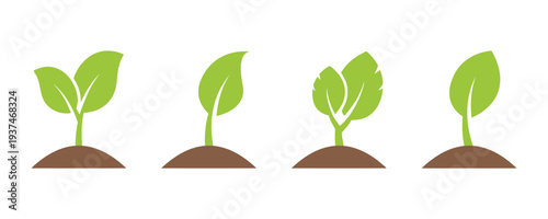 Green seedling sprouts growing from soil, symbolizing growth and new life