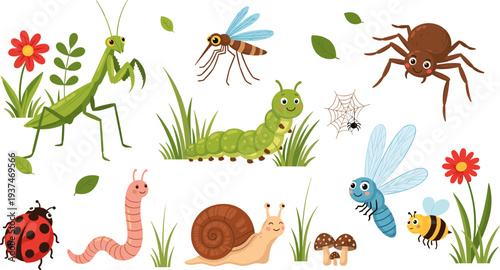 Cute garden insects illustration, cartoon bug collection with butterfly bee ladybug snail caterpillar spider and mantis vector set