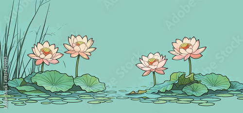 Four lotus flowers grow in a pond with green leaves. The water surface reflects the plants in a simple setting.