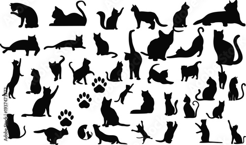 Large set of feline silhouettes and cat paw marks for animal lovers and pet industry design