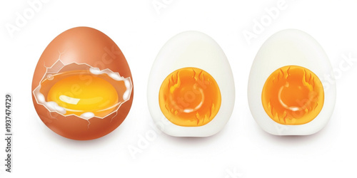 Egg Cooking Stages Vector Illustration Featuring Raw Egg, Soft Boiled Egg, and Hard Boiled Egg Cross Section Food Preparation Guide