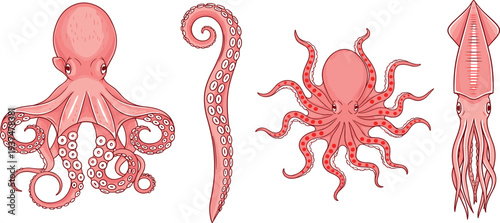 Collection of pink octopus and squid illustrations featuring various swimming poses, a coiled tentacle, and detailed suction cups isolated on white background.
