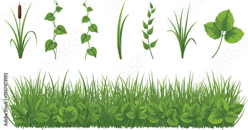Collection of vibrant green garden plants featuring various grass patches ivy vines clovers and cattails isolated on white background.