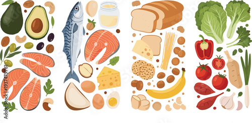 Healthy Balanced Diet Food Selection Vector Illustration with Fish Meat Bread Vegetables Fruits Nuts and Dairy Products Collection