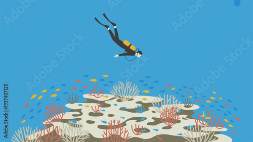 Scuba diver coral reef exploration marine life