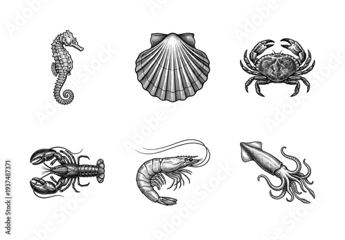Vintage engraving set of marine life including seahorse, scallop shell, crab, lobster, shrimp, and squid in black and white woodcut style.