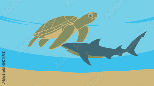 Sea turtle shark underwater ocean