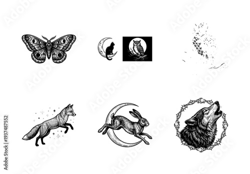 Collection of mystical animal illustrations featuring a moth, wolf, fox, and rabbit in a vintage woodcut engraving style with celestial moon and star elements.