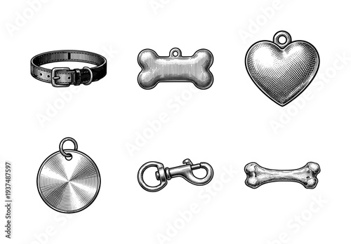 Vintage engraving style dog accessories set featuring leather collar metallic identification tags snap hook and bone treat
