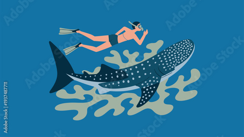 Snorkeler whale shark coral