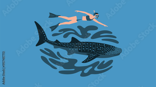 Snorkeler whale shark marine life