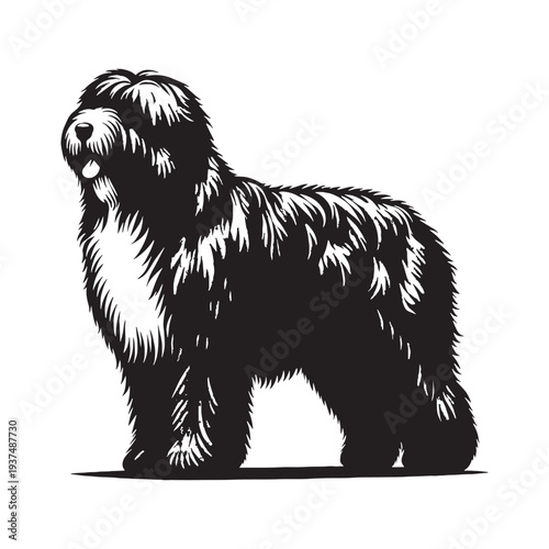 Adorable Old English Sheepdog with fluffy shaggy coat playing happily in green field, loyal intelligent family companion dog breed known for gentle nature, charming personality, and iconic bear.