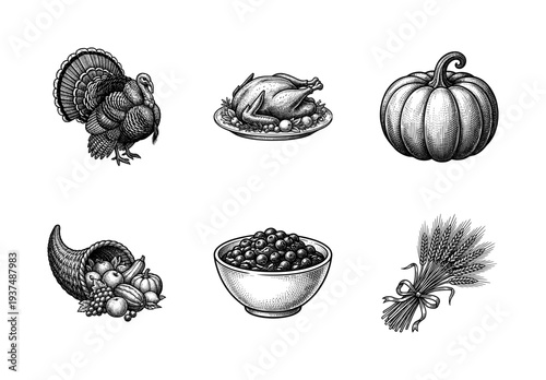 Thanksgiving harvest collection featuring hand drawn vintage engravings of turkey, roasted poultry, pumpkin, cornucopia, cranberry bowl and wheat stalks.