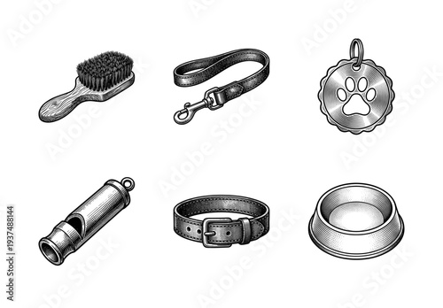 Set of pet care accessories and dog training equipment in a vintage woodcut engraving style