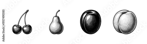 Vintage engraving of assorted fruits including cherries, pear, plum, and peach in a detailed woodcut style illustration.