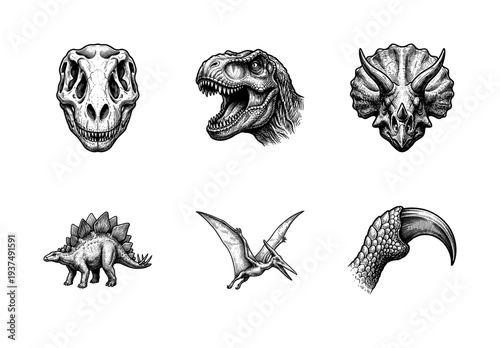 Set of prehistoric dinosaur illustrations featuring skull, t-rex head, triceratops, stegosaurus, pterodactyl and raptor claw in vintage engraving style
