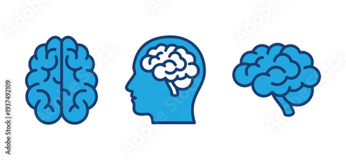 Set of brain icons in different views for medical and science concepts