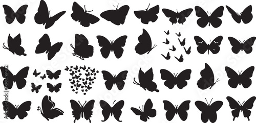 Set of butterfly silhouettes, diverse species and poses, for nature and insect-themed designs