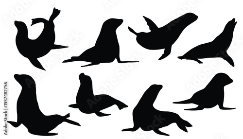 Set of seal silhouettes in various poses, perfect for marine and aquatic themes
