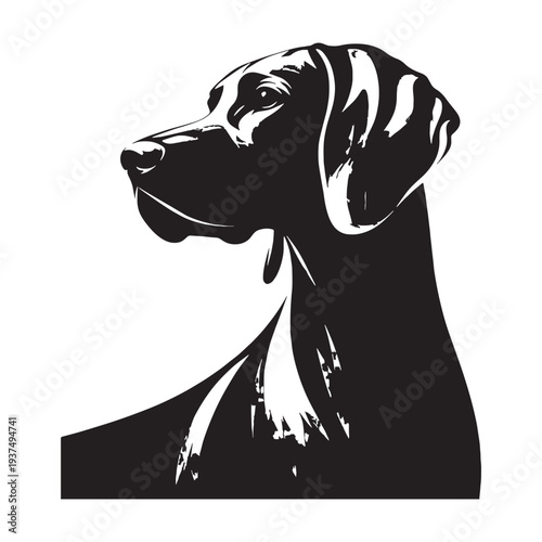 Weimaraner Dog Vector Silhouette, Elegant German Hunting Breed Illustration, Sleek Athletic Gun Dog Outline, Loyal Family Companion Pet Design, Sporting Dog Graphic, Canine Breed Art.