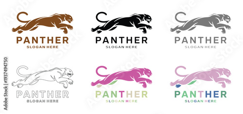 Colorful Panther Logos Collection with Various Text Styles and Solid Background