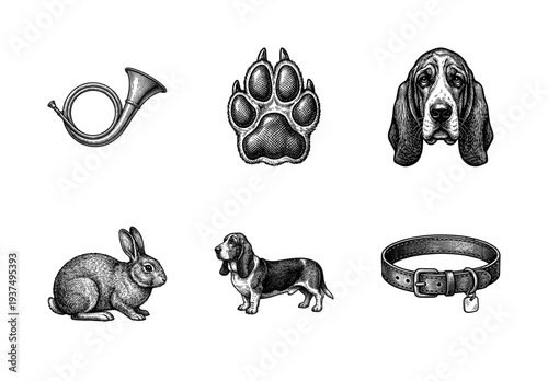 Vintage woodcut style hunting and dog illustration collection featuring basset hound rabbit paw print and horn