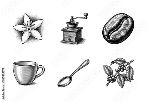 Vintage engraving collection of coffee plant elements and brewing tools featuring a manual grinder, cup, spoon, roasted bean, and flowering branch.
