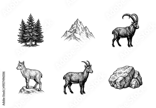 Vintage alpine nature collection featuring hand drawn engraving style illustrations of ibex goats mountains evergreen trees and rocks