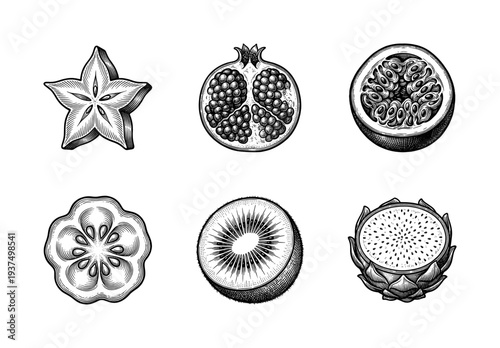 Vintage engraving style collection of exotic fruit cross sections including starfruit pomegranate passion fruit kiwi and dragon fruit