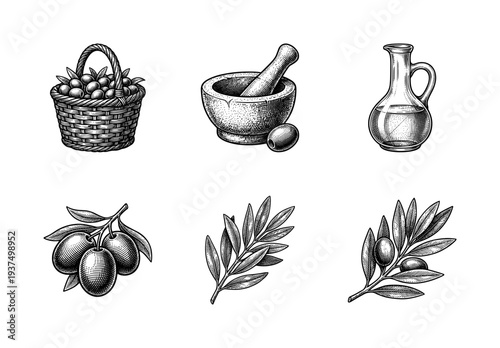 Set of olive oil production sketches featuring branches, basket, mortar and pestle, and glass carafe in vintage engraving style.