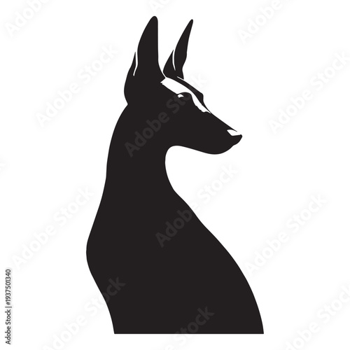 Pharaoh Hound Dog Vector Silhouette, Elegant Egyptian Hunting Breed Illustration, Slim Athletic Sighthound Outline, Rare Ancient Dog Breed Pet Design, Pharaoh Hound Graphic, Canine Art.