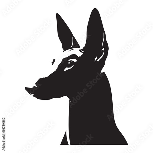 Pharaoh Hound Dog Vector Silhouette, Elegant Egyptian Hunting Breed Illustration, Slim Athletic Sighthound Outline, Rare Ancient Dog Breed Pet Design, Pharaoh Hound Graphic, Canine Art.