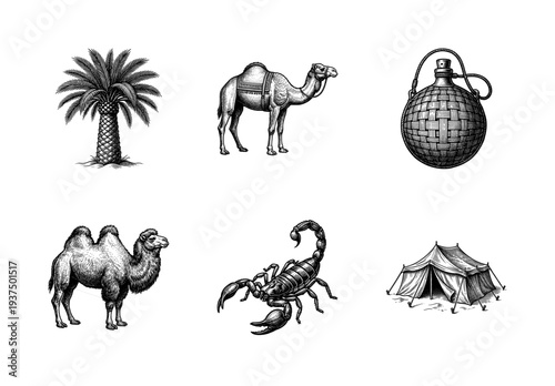 Desert life and travel collection featuring camels, scorpions, and oasis elements in a vintage woodcut engraving style