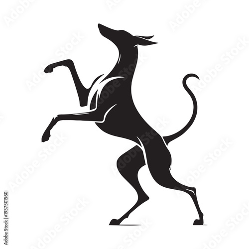 Pharaoh Hound Dog Vector Silhouette, Elegant Egyptian Hunting Breed Illustration, Slim Athletic Sighthound Outline, Rare Ancient Dog Breed Pet Design, Pharaoh Hound Graphic, Canine Art.