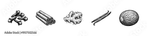 Vintage engraving of essential cooking spices featuring cloves, cinnamon sticks, ginger root, vanilla pods, and nutmeg nut in a classic hand-drawn sketch style