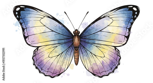 Colorful Butterfly with Delicate Wings and Antennae.