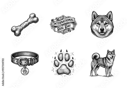 Vintage woodcut style illustration set for international dog day featuring a shiba inu dog head and body paw print collar and bone
