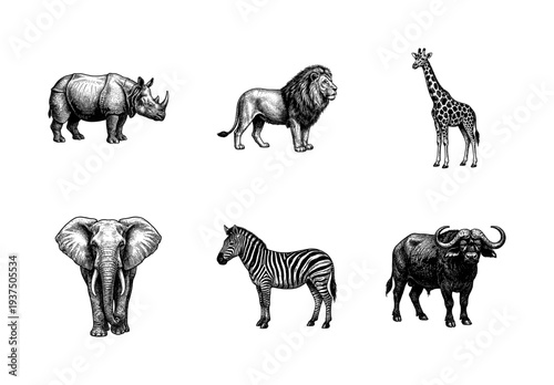 Vintage engraving collection of African savanna animals including rhinoceros lion giraffe elephant zebra and cape buffalo