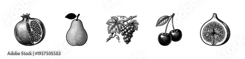 Vintage engraving of a fruit collection including pomegranate, pear, grapes, cherries, and a fig in a detailed woodcut etching style.