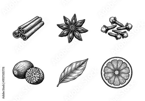 Vintage engraving of aromatic mulled wine spices and citrus collection including cinnamon sticks, star anise, cloves, nutmeg, bay leaf, and orange slice.