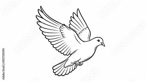 White Dove Flying with Outstretched Wings 2.