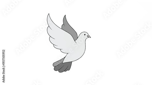 White Dove Flying with Outstretched Wings Illustration.