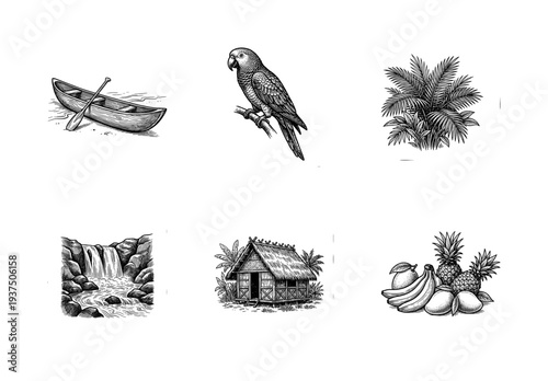 Tropical island life and nature collection featuring hand drawn engraving style illustrations of parrot canoe waterfall hut and exotic fruits