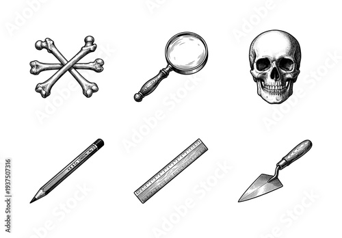 Vintage engraving style collection of archaeology and forensic science icons featuring a human skull, bones, magnifying glass, pencil, ruler, and trowel.