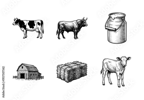 Vintage dairy farming collection featuring hand drawn sketches of cattle, milk can, barn, and hay bale in woodcut engraving style.