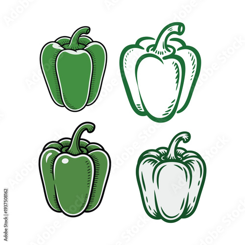 Organic green capsicum pepper vector icon hand drawn vegetable illustration isolated for healthy food branding