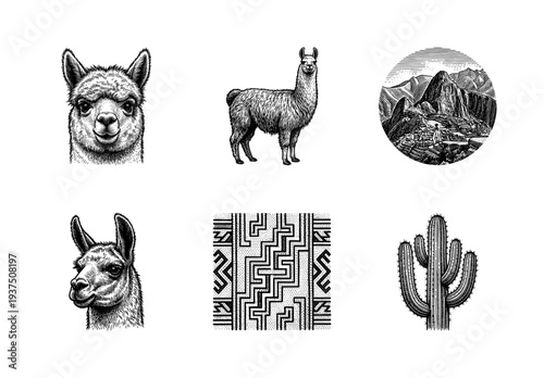 South American culture and nature collection featuring llama portraits, Machu Picchu landscape, Incan patterns, and cactus in vintage woodcut engraving style.